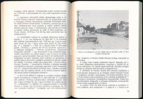 V. Fodor Zsuzsa: "Isten áldja a tisztes ipart!" Iparosélet Veszprémben a két világháború k...