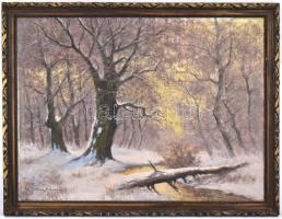 Olvashatatlan jelzéssel: Téli táj. Olaj, vászon, aranyozott, enyhén sérült keretben, 58,5x79,5 cm