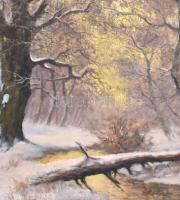 Olvashatatlan jelzéssel: Téli táj. Olaj, vászon, aranyozott, enyhén sérült keretben, 58,5x79,5 cm