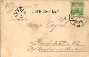 1900 Pozsony, Pressburg, Bratislava; Vogelperspective / Madártávlat, híd / general view, bridge (sza...