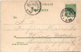 1894 (Vorläufer!) Rüdesheim am Rhein, Gruss vom National-Denkmal auf dem Niederwald, Burg Ehrenfels ...