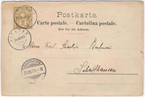 1893 (Vorläufer) Vitznau, Herzlichen Glückwunsch zum Jahreswechsel! Familie Kohler / New Year greeti...