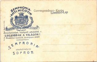 Celje, Cilli; Stadtpark. Verlag von Fritz Rausch / park. Art Nouveau, forest litho. "Sempronia-...