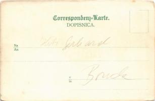 Slov. Plan. Drustvo 1897. (Slovenska Planinsko Drustvo). Zal. Jos. Petric v. Ljubljani, Th. Eismann ...