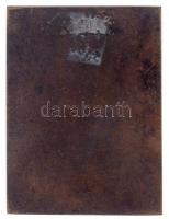 Solymári Valkó László (1909-1984) 1954. "Szamuely Tibor" Br emlékplakett (205g/66x89mm) T:...