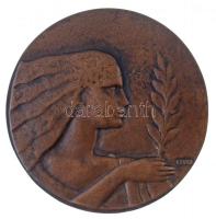 Csúcs Ferenc (1905-1999) 1934. "Főiskolai Játékok Budapest 1934" Br érem (404g/118mm) T:2 ...