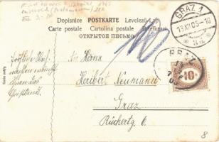 1905 Lady with cats and dog. Serie 206/5. (EK)