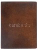 Csillag István (1881-1968) 1913. "lovag Falk Zsigmond 70 éves nyomdászságának emlékére" br...