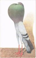 Blauer Brünner Kröpfer mit schwarzen Binden / Brunner Pouter pigeon art postcard s: Max Loose