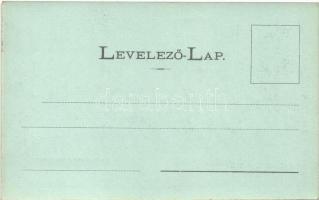 1906 Győr, Király utca, Kovacsics Anna üzlete, Szálloda a Bárányhoz. Berecz Viktor kiadása