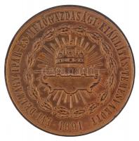 Piffl Alajos 1891. "1891. évi Délmagyarországi Ipar- és Mezőgazdasági Kiállítás Temesvárott / Érdem érem" aranyozott Br emlékérem (60mm) T:2 HP II. 2118