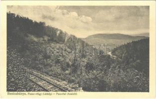 Resicabánya, Resicza, Recita, Resita; Panor-völgy látképe, vasúti pálya. Weiss Adolf kiadása / Panortal (Ansicht) / valley, railway line (fl)