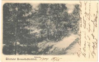 1904 Borszék, Borsec; Ősforrás / spring source (vágott / cut)