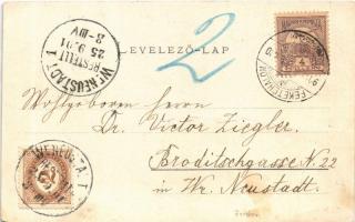 1901 Feketehalom, Zeiden, Codlea; Marktplatz, Rathaus und Turm. Verlag G. Foith / Piac tér, Városház...