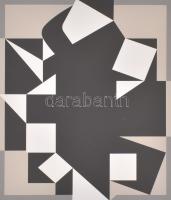 Victor Vasarely (1908-1997): Fekete-szürke kompozíció. Szitanyomat, papír, jelzett és számozott (77/90). Vasarely 75. születésnapja alkalmából megjelent mappából, 1984. 51x47 cm