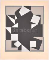 Victor Vasarely (1908-1997): Fekete-szürke kompozíció. Szitanyomat, papír, jelzett és számozott (77/...