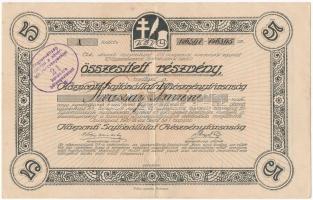 Budapest 1920. Központi Sajtóvállalat Részvénytársaság öt darab névre szóló részvénye összesen 125K-ról, felülbélyegzéssel és szelvényekkel T:II-