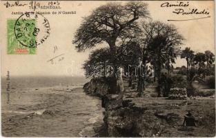 1905 NGazobil, Jardin de la Mission / Mission Garden, coast, TCV card