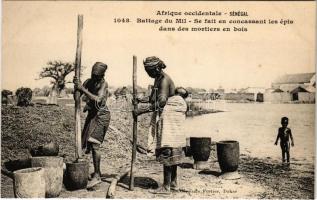 Battage du Mil, Se fait en concassant les épis dans des mortiers en bois / threshing millet, African folklore