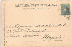 Napoli, Naples; Il Castagnaro / Italian folklore, street scene. litho s: S. Destefan (EK)