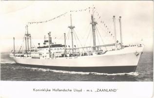Koninklijke Hollanndsche Lloyd MS ZAANLAND / Dutch freightship MS Zaanland, modern postcard (EB)
