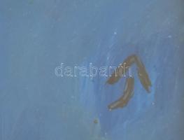 Aknay jelzéssel: Angyali portré. Olaj, papír, üvegezett fa keretben, 21x30 cm