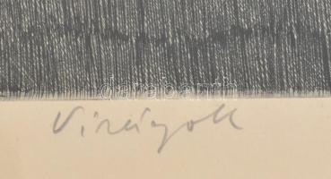 Gaál Domonkos (1940-2009): Virágok. Rézkarc, papír, jelzett, üvegezett keretben, 39×29 cm