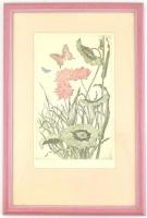 Tuka László (1924-2007): Vízparton. Színes rézkarc, papír, jelzett, számozott (81/100), Üvegezett fa...