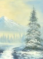 Olvashatatlan jelzéssel: Téli táj. Olaj, vászon. Díszes, neobarokk stílusú fa keretben, 40×50 cm