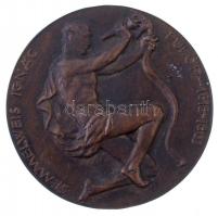 ~1960. "Semmelweis Ignác Fülöp - 1818-1863" jelzetlen, öntött Br emlékérem tokban (70mm) T...