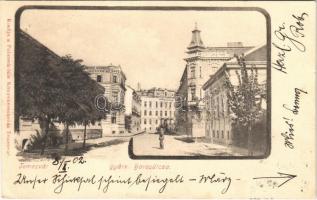 1902 Temesvár, Timisoara; Gyárváros, Baross utca. Polatsek kiadása / Fabric, street view (EK)