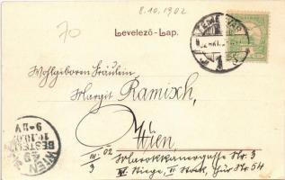 1902 Temesvár, Timisoara; Gyárváros, Baross utca. Polatsek kiadása / Fabric, street view  (EK)