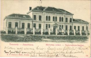 1901 Temesvár, Timisoara; Józsefváros, Siketnéma intézet. H. P. Günther utóda kiadása / Taubstummen-Institut / Iosefin, deaf-mute institute (fl)
