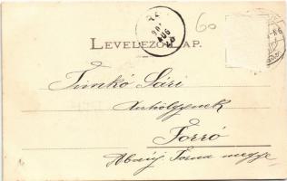 1900 Marosvásárhely, Targu Mures; Fő tér, Petrás Géza, Muntyán Géza, Szalmásy Gyula, Schwartz János ...