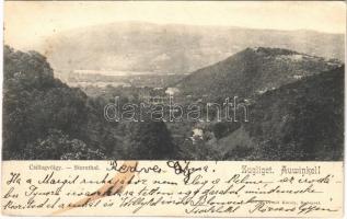 1902 Budapest XII. Zugliget, Csillagvölgy. Divald Károly 659. sz.  (fl)