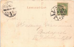 1903 Miskolc, Hámori tó, evezős csónak (fa)