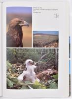 A Vértes hegység és környéke. Egy cseppnyi Magyarország. Szerk.: Béni Kornél, Viszló Levente. [Várge...