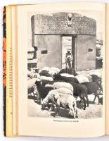 Vécsey Zoltán: Elpusztult népek, elpusztult kultúrák. Bp., 1966., Móra. Kiadói félvászon-kötés, kiad...