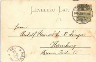 1904 Trencsén, Trencín; látkép, vár, vasúti pálya. Gansel Lipót 14. / Trenciansky hrad / general vie...