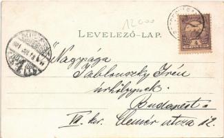 1901 Szepesváralja, Kirchdrauf, Spisské Podhradie; Fő utca, magyar zászló, Szepes vára. Kézmarssky M...