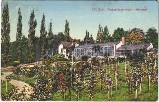 1916 Szliács, Sliac; Üvegház és rózsaliget / Gärtnerei / greenhouse and rose grove