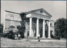 cca 1968 Az alcsúti kastély romjai, hátoldalon feliratozott fotó, jó állapotban, 13×18 cm
