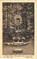 1917 Tátraszéplak, Tatranska Polianka, Westerheim (Tátra, Vysoké Tatry); erdei áhítat / Waldandacht / sanctuary in the forest (EK)