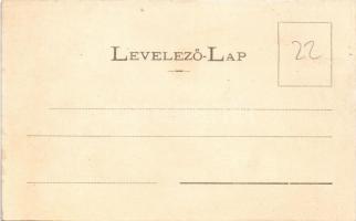 Sztrecsnó, Sztrecsény, Strecno (Ruttka, Vrútky); Hrad Strecno / Sztrecsnó vára. Sochán P. 21. sz. / ...