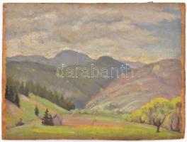 Joachim József (1897-1954): Galyatető, Mátra. Olaj, karton. Jelzés nélkül, 30x39,5 cm