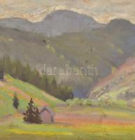 Joachim József (1897-1954): Galyatető, Mátra. Olaj, karton. Jelzés nélkül, 30x39,5 cm