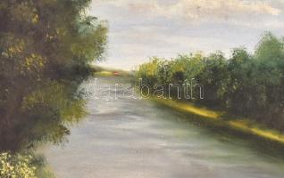 Csonka Ildikó (?-): Nyár a Dunán. Olaj, karton. Jelzett, hátoldalán feliratozott, fa keretben, 30x35...