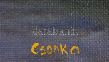 Csonka Ildikó (?-): Nyár a Dunán. Olaj, karton. Jelzett, hátoldalán feliratozott, fa keretben, 30x35...