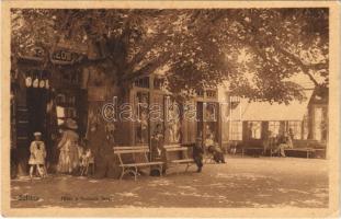 1909 Szliács, Sliac; Fő tér a Kossuth fával, Kerekes Miklós üzlete és saját kiadása / main square, Kossuth tree, publishers shop (EK)