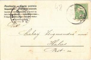 1906 Iglófüred, Bad Zipser Neudorf, Spisská Nová Ves Kúpele, Novovesské Kúpele; Hungária szálloda. S...